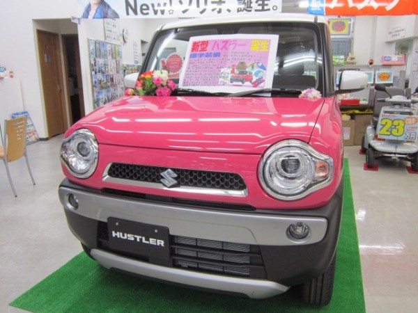 IMG_6262 IMG_6262.jpg