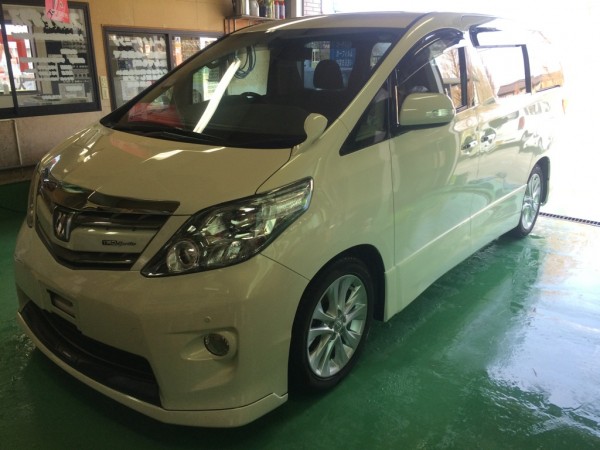 IMG_7729 IMG_7729.jpg