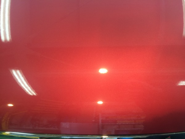 IMG_7649 IMG_7649.jpg