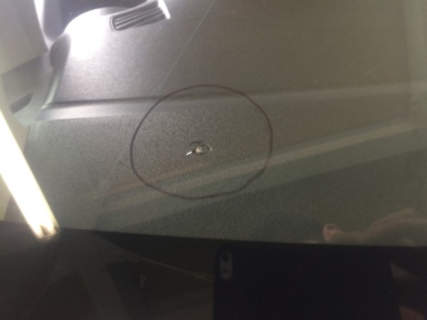 IMG_7398 IMG_7398.jpg