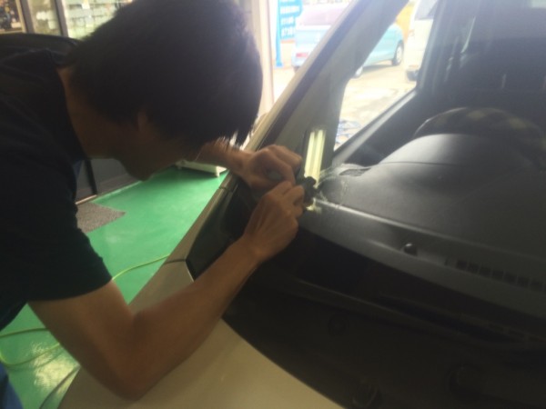 IMG_7946 IMG_7946.jpg