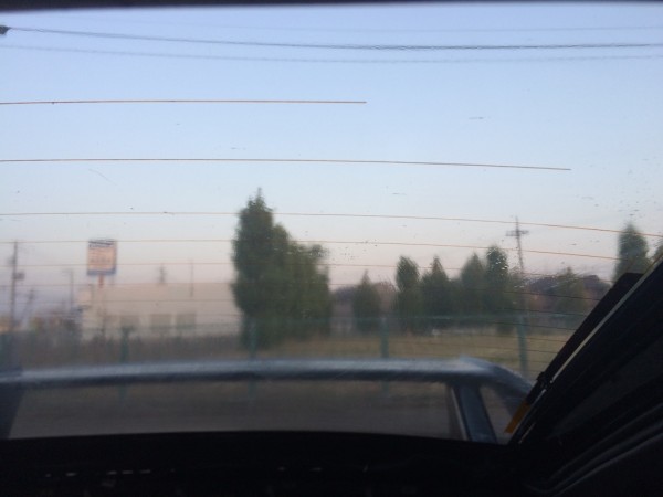 IMG_5745 IMG_5745.jpg