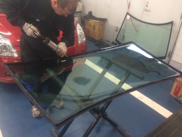 IMG_4850 IMG_4850.jpg