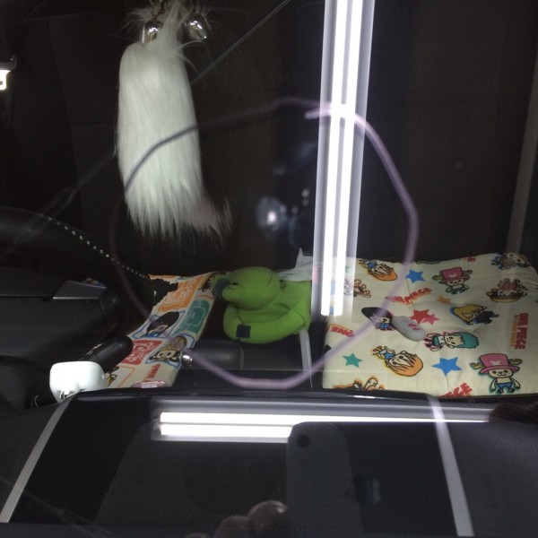 IMG_6664 IMG_6664.jpg