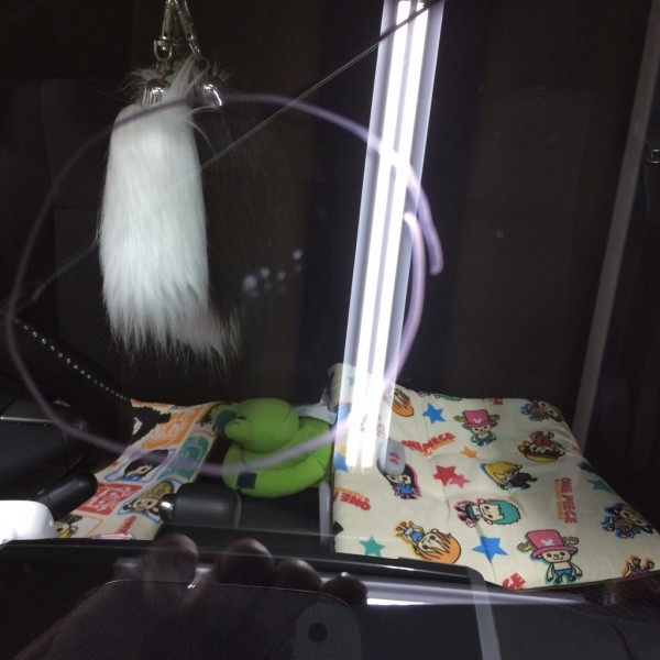 IMG_7898 IMG_7898.jpg