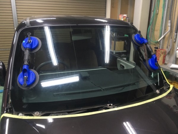 IMG_2993 IMG_2993.jpg