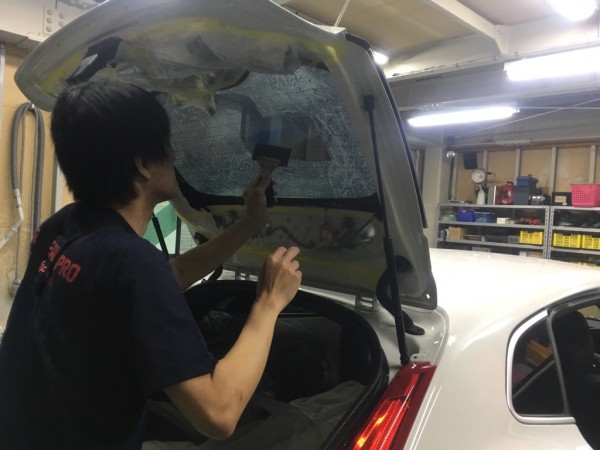 IMG_3515 IMG_3515.jpg