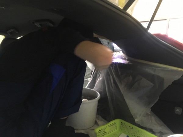 IMG_4541 IMG_4541.jpg