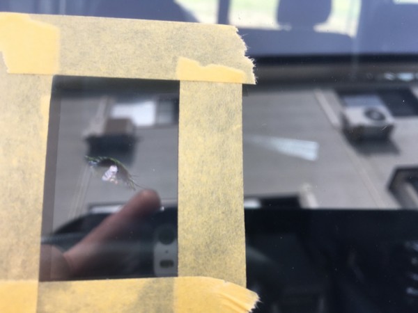 IMG_5036 IMG_5036.jpg