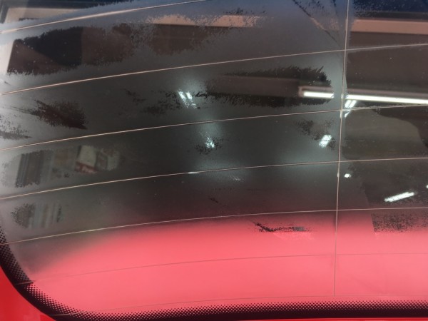 IMG_7836 IMG_7836.jpg