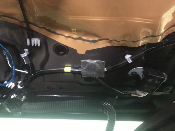 IMG_8043 IMG_8043.jpg