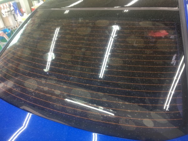 IMG_9315 IMG_9315.jpg