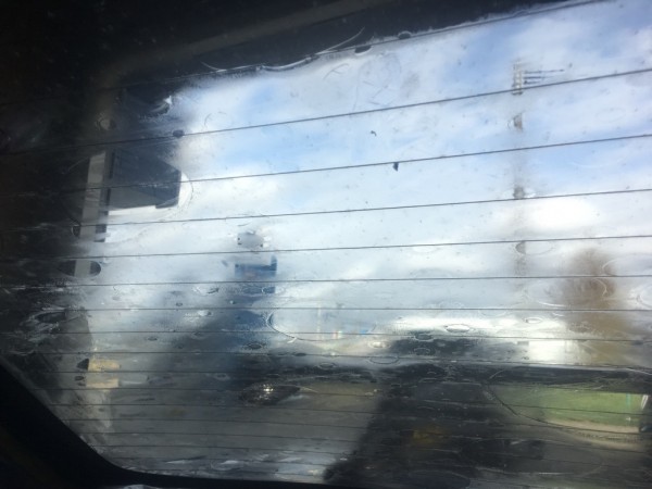 IMG_9317 IMG_9317.jpg