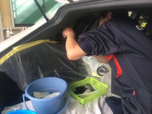 IMG_9661 IMG_9661.jpg