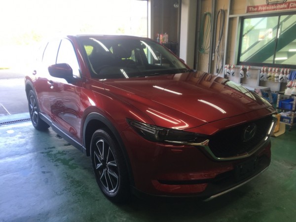 IMG_9715 IMG_9715.jpg