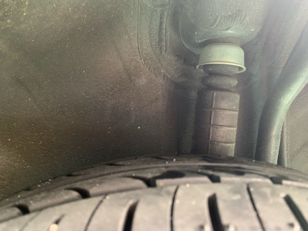 IMG_1484 IMG_1484.jpg