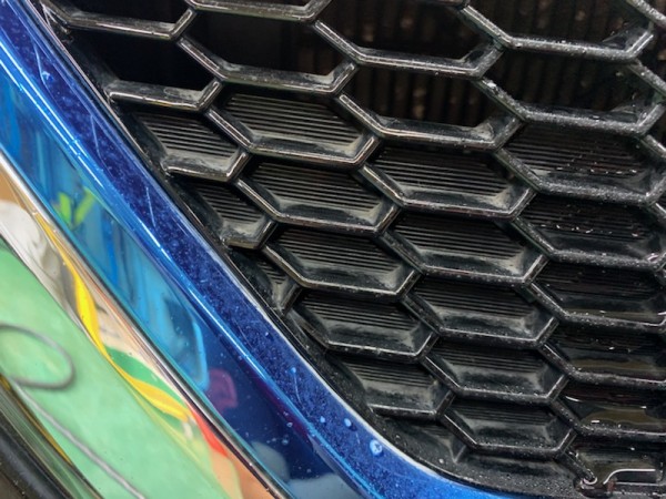 IMG_1486 IMG_1486.jpg