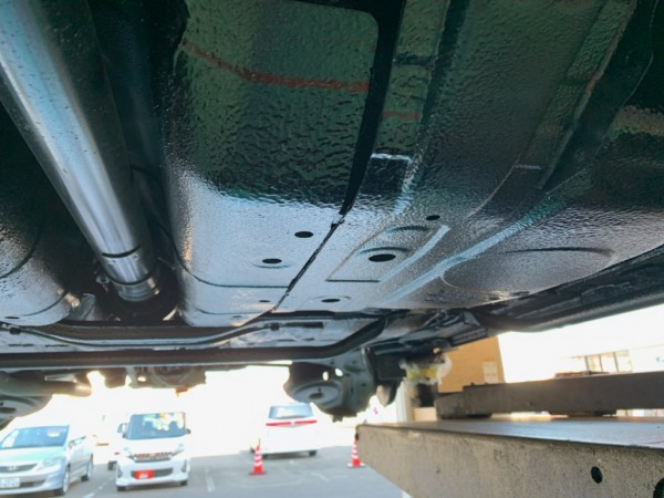 IMG_3172 IMG_3172.jpg