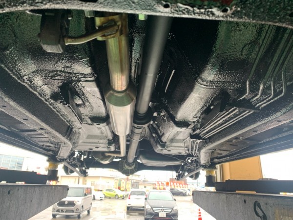 IMG_3496 IMG_3496.jpg